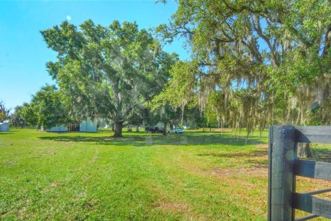 Terreno en venta en Clermont, Florida № 1364432 - foto 6