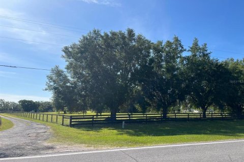 Terreno en venta en Clermont, Florida № 1364432 - foto 2