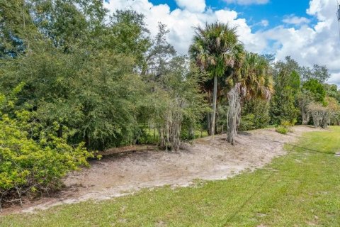 Terrain à vendre à Odessa, Floride № 1406815 - photo 23