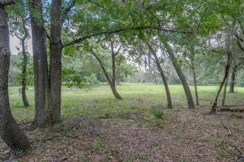 Terreno en venta en Odessa, Florida № 1406815 - foto 28