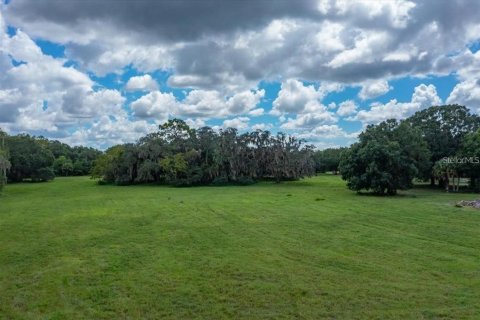 Terreno en venta en Odessa, Florida № 1406815 - foto 19