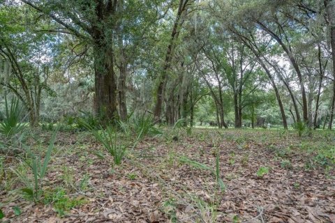 Terreno en venta en Odessa, Florida № 1406815 - foto 30