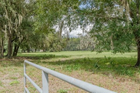 Terrain à vendre à Odessa, Floride № 1406815 - photo 26