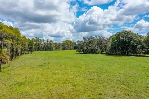 Terreno en venta en Odessa, Florida № 1406815 - foto 4