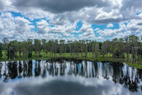 Terreno en venta en Odessa, Florida № 1406815 - foto 2