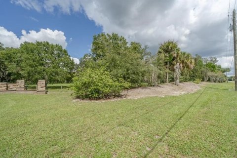 Terreno en venta en Odessa, Florida № 1406815 - foto 24