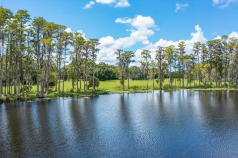 Terreno en venta en Odessa, Florida № 1406815 - foto 12