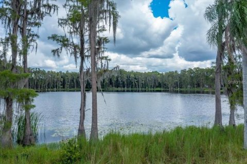 Terreno en venta en Odessa, Florida № 1406815 - foto 14