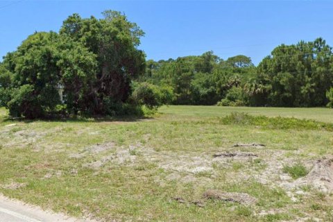 Land in Rotonda, Florida № 1106796 - photo 7