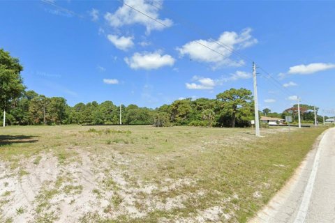 Terreno en venta en Rotonda, Florida № 1106796 - foto 4