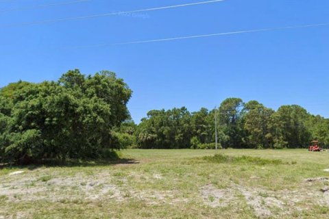 Terreno en venta en Rotonda, Florida № 1106796 - foto 5