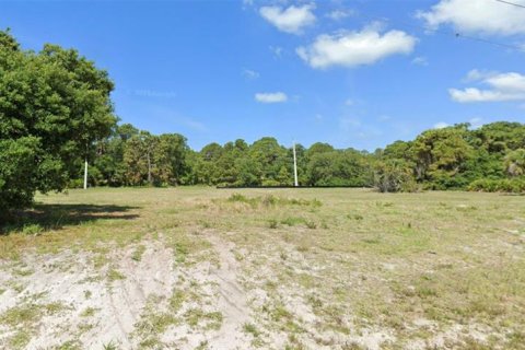 Land in Rotonda, Florida № 1106796 - photo 6