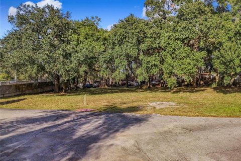 Terreno en venta en Tavares, Florida № 1429219 - foto 1