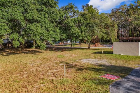 Terreno en venta en Tavares, Florida № 1429219 - foto 20