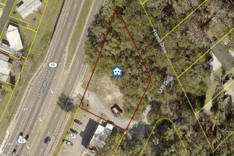 Terreno en venta en Tavares, Florida № 1429219 - foto 10