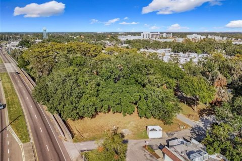 Terreno en venta en Tavares, Florida № 1429219 - foto 18