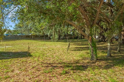 Terreno en venta en Tavares, Florida № 1429219 - foto 21