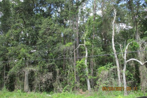 Terreno en venta en Jacksonville, Florida № 768439 - foto 2