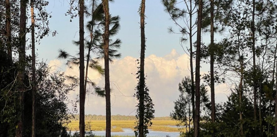 Terrain à Saint Augustine, Floride № 765760