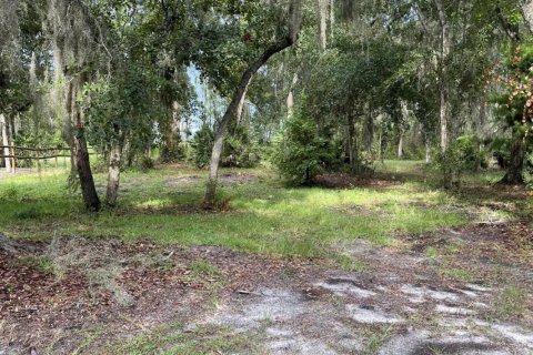 Terrain à vendre à Saint Augustine, Floride № 765760 - photo 2