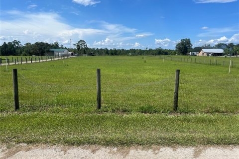 Land in De Leon Springs, Florida № 1306995 - photo 2