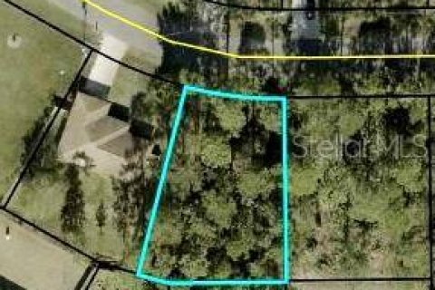 Terreno en venta en Palm Coast, Florida № 1382198 - foto 3