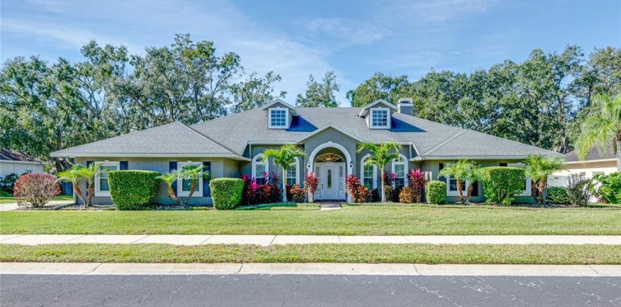 House in Lakeland, Florida 4 bedrooms, 273.88 sq.m. № 867184