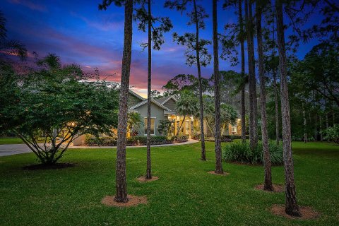 Villa ou maison à vendre à Jupiter, Floride: 4 chambres, 328.5 m2 № 918677 - photo 1