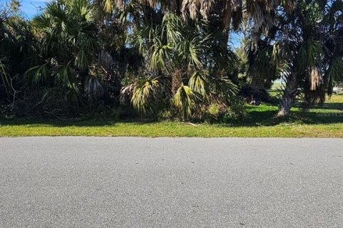 Land in Port Charlotte, Florida № 1000644 - photo 4
