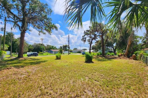 Land in Nokomis, Florida № 1366285 - photo 2