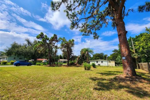 Land in Nokomis, Florida № 1366285 - photo 3