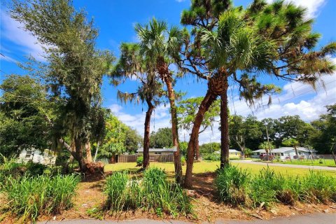 Terrain à vendre à Nokomis, Floride № 1366285 - photo 6