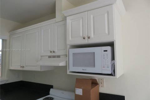 Apartamento en alquiler en Miami, Florida, 1 dormitorio, 39.02 m2 № 1364174 - foto 3