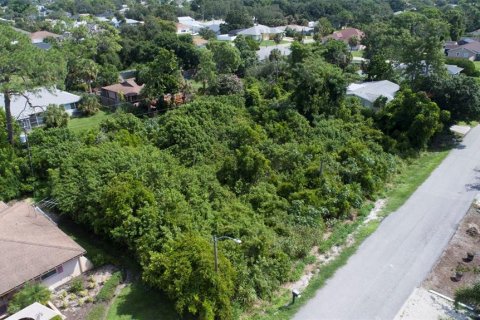 Terreno en venta en Venice, Florida № 1366814 - foto 9