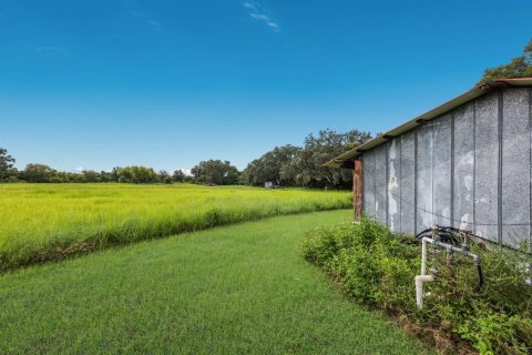 Terreno en venta en Lakeland, Florida № 1366764 - foto 9