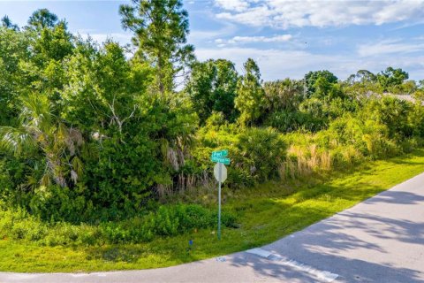 Land in Port Charlotte, Florida № 1121598 - photo 11