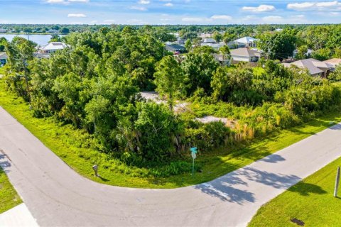 Land in Port Charlotte, Florida № 1121598 - photo 3