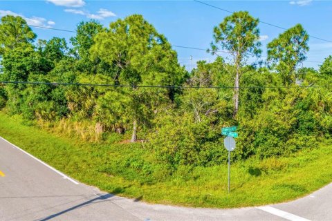 Land in Port Charlotte, Florida № 1121598 - photo 10