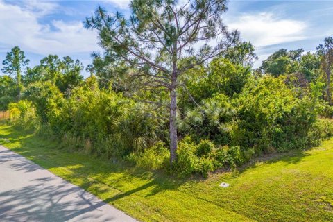 Terreno en venta en Port Charlotte, Florida № 1121598 - foto 12