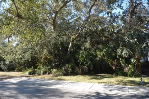 Купить земельный участок в Палм-Кост, Флорида № 944129 - фото 4