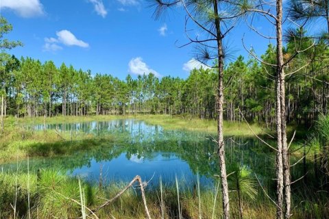 Land in Eustis, Florida № 1366113 - photo 2