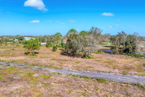 Terreno en venta en Myakka City, Florida № 1426783 - foto 12