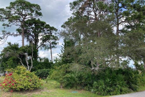 Terreno en venta en Venice, Florida № 1426784 - foto 4