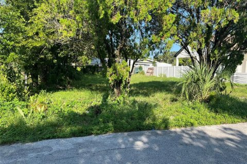 Land in Tampa, Florida № 1368079 - photo 6