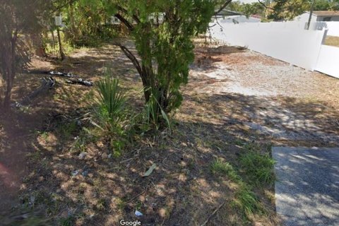 Land in Tampa, Florida № 1368079 - photo 1