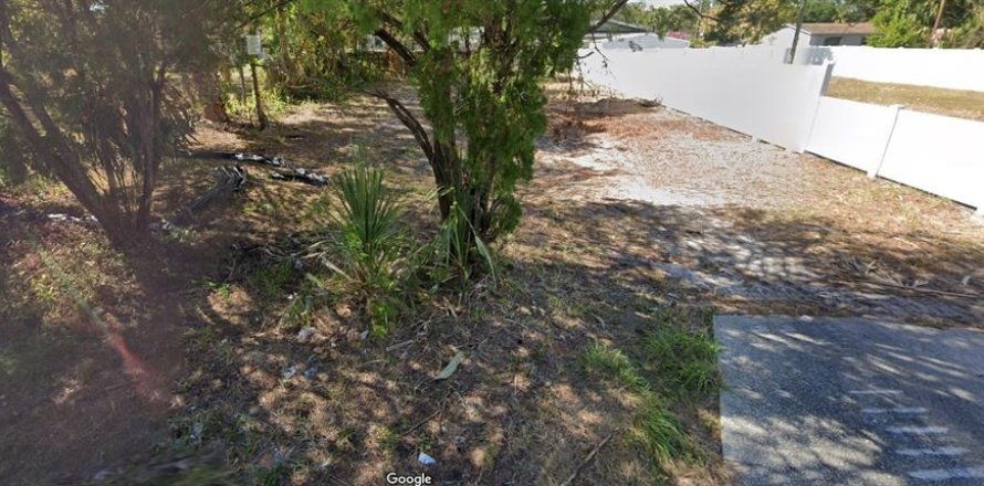 Terreno en Tampa, Florida № 1368079