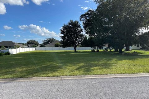 Terreno en venta en Ocala, Florida № 1395383 - foto 5