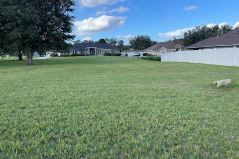 Terreno en venta en Ocala, Florida № 1395383 - foto 4