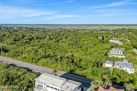 Land in Saint Augustine, Florida № 769121 - photo 9