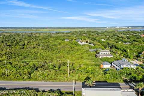 Land in Saint Augustine, Florida № 769121 - photo 8